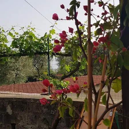 La Casina Di Silvio